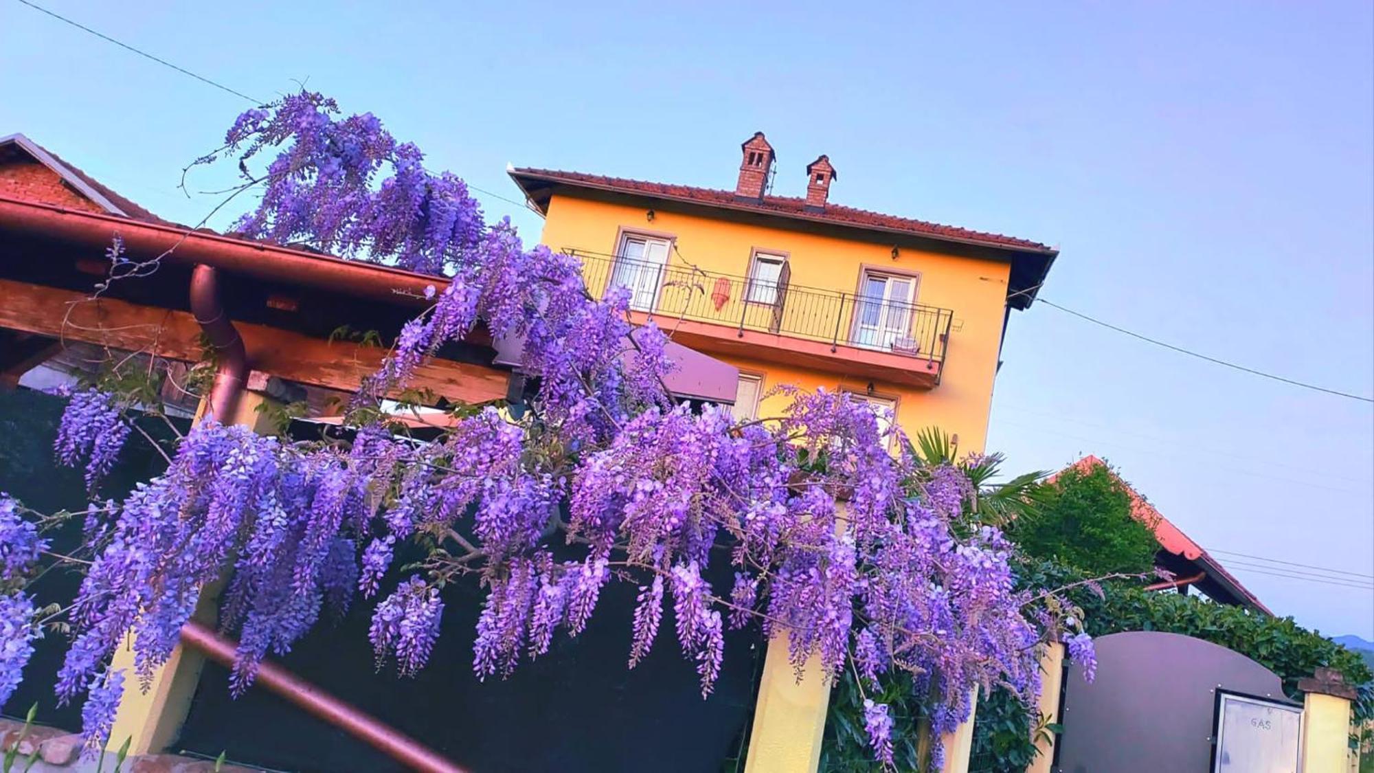 B&B Villa S Anna Hospitality Solutions Arquata Scrivia ภายนอก รูปภาพ